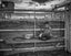 Dana Gonzales, ASC • The Future